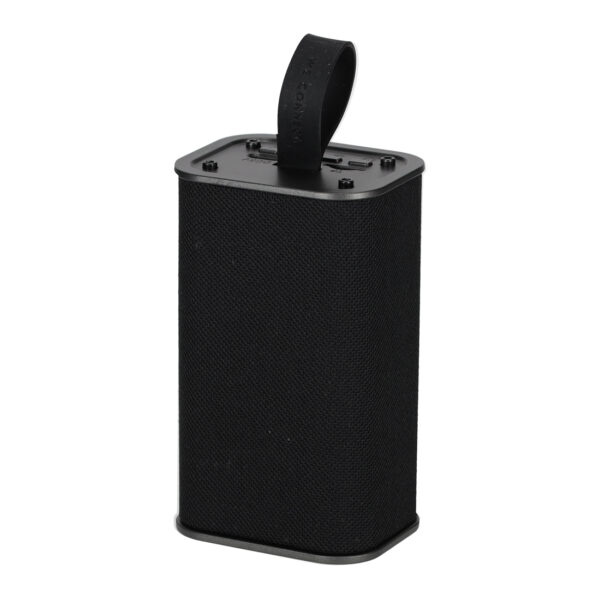 BRAINZ Speaker Spike Zwart